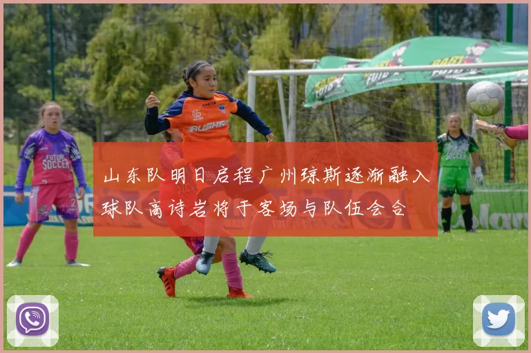 山东队明日启程广州琼斯逐渐融入球队高诗岩将于客场与队伍会合
