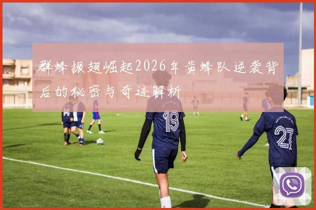 群蜂振翅崛起2026年黄蜂队逆袭背后的秘密与奇迹解析